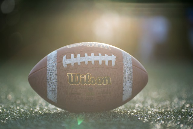 他不仅能作 他不仅能作