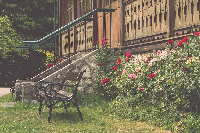 瓦奇创造奇 瓦奇创造奇