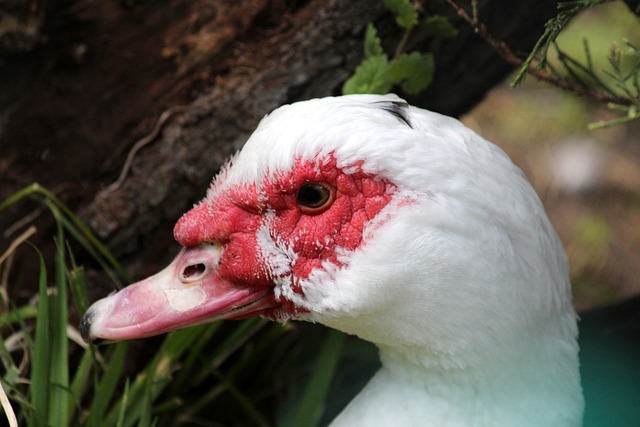 哈登状态低迷，快船是否有必要继续让他留在场上？.