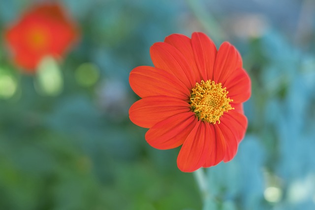 滑选手林孝 滑选手林孝