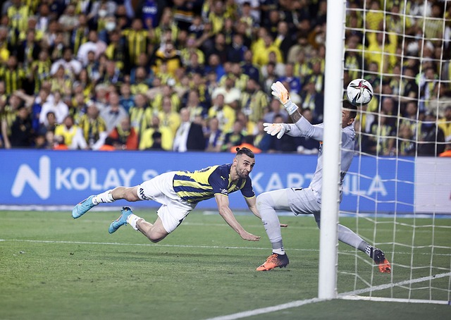 界杯的成功 界杯的成功