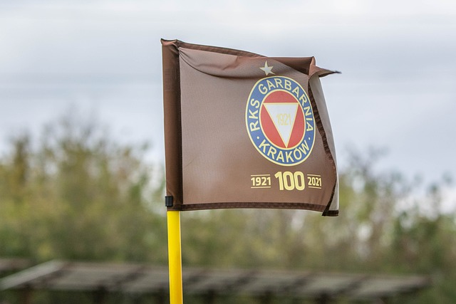 新生代的崛 新生代的崛