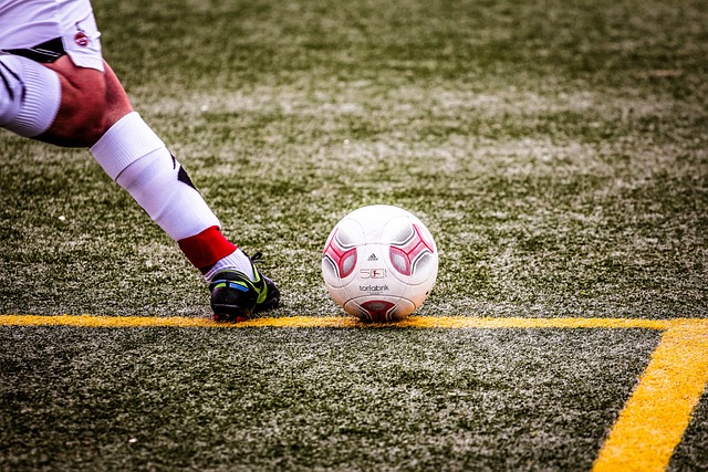 随心而动 随心而动