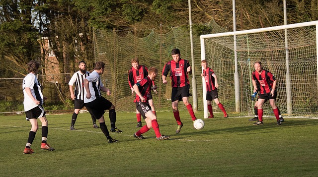 力和潜质巨 力和潜质巨